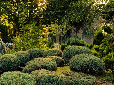 Landscapers